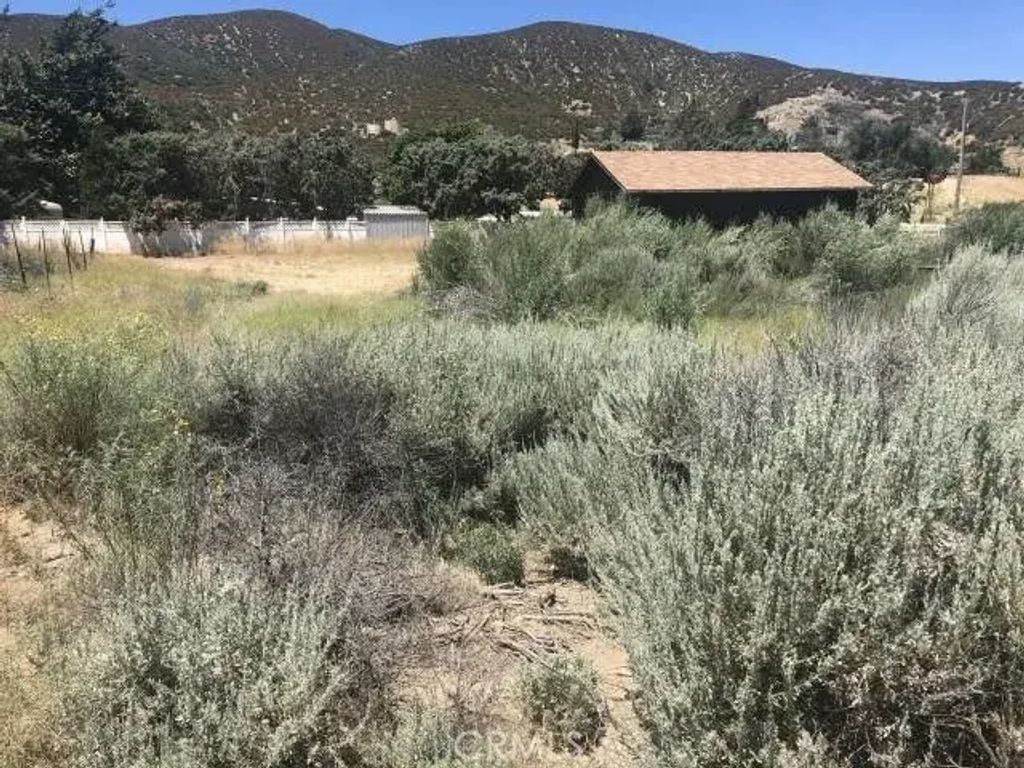 40120 107th West, Leona Valley