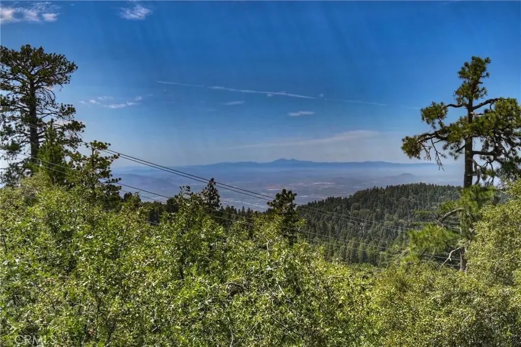 25515 True, Twin Peaks