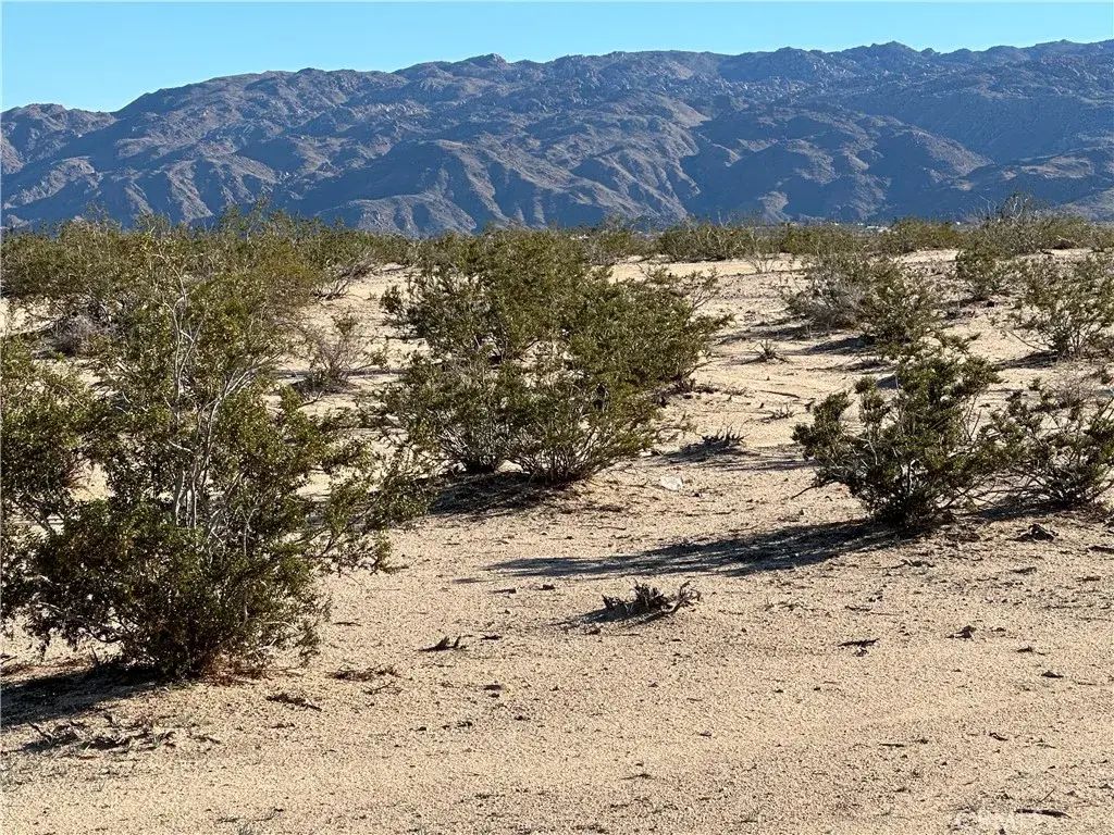 Nandia, 29 Palms