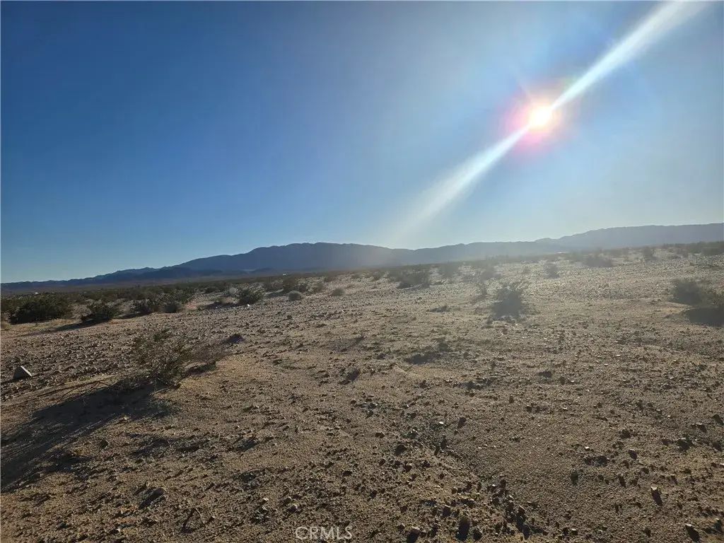 1234 Amboy, 29 Palms