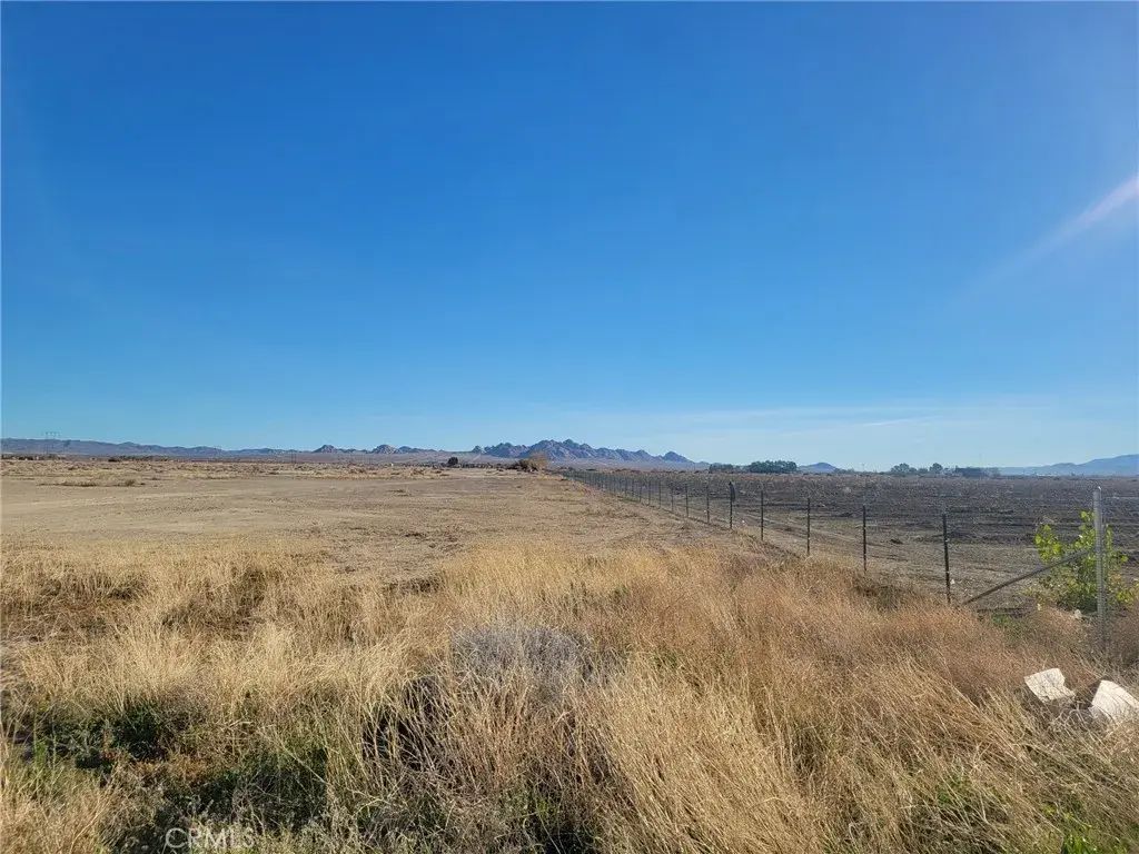 Locust, Lucerne Valley