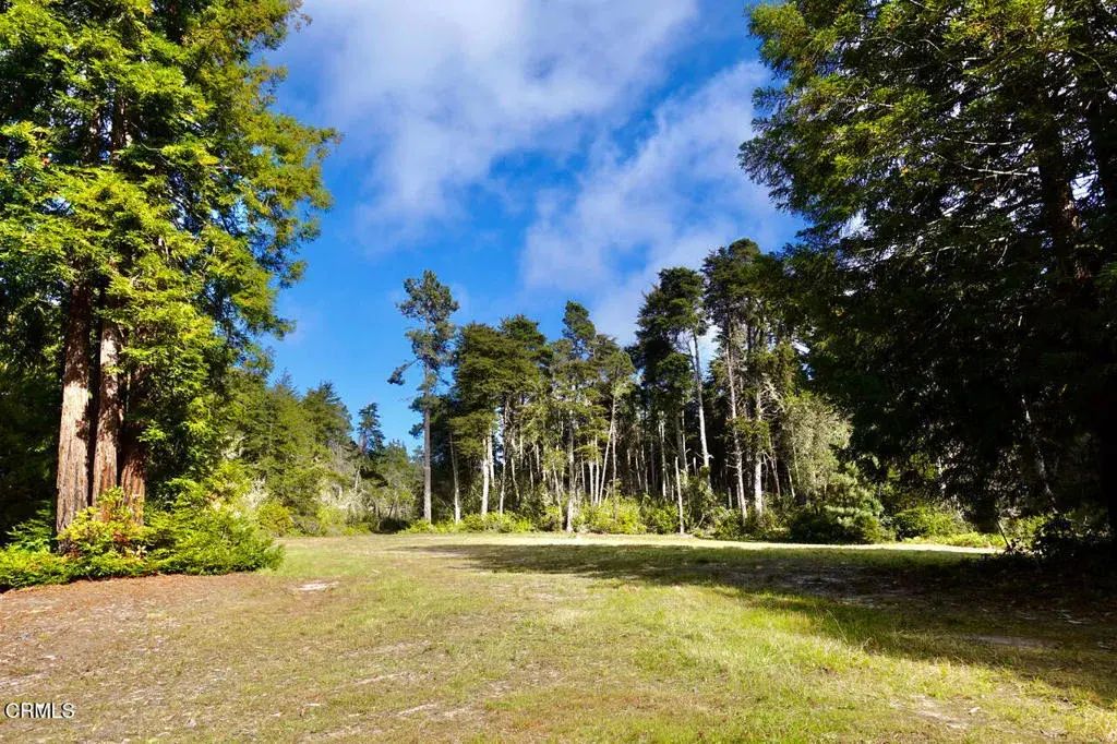 43535 Comptche Ukiah, Mendocino