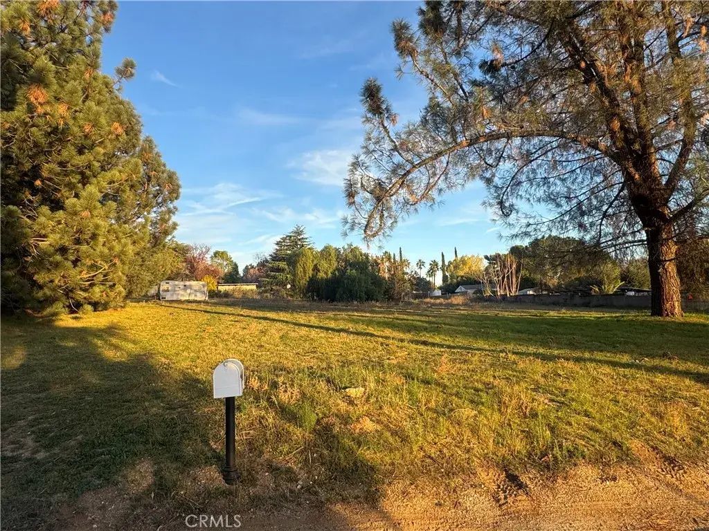 Bonita, Cherry Valley