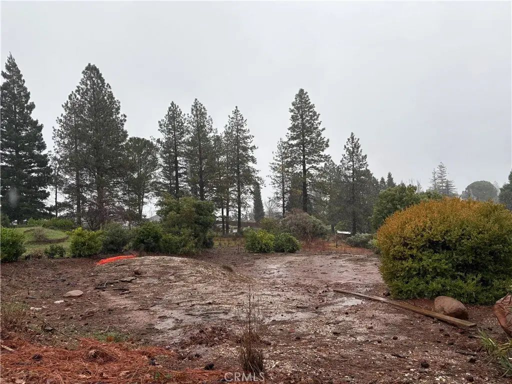2376 Clearview, Paradise