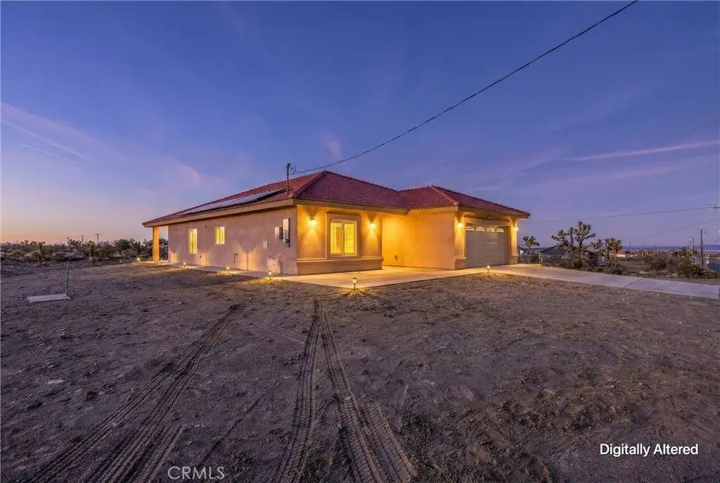 11788 Buckwheat, Phelan