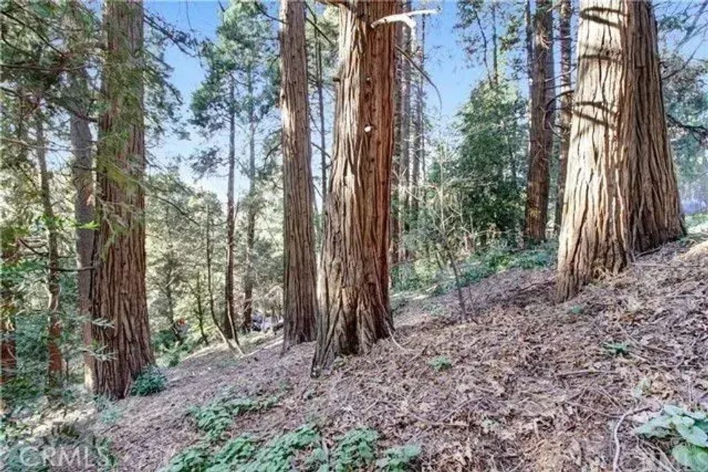 2662 Scenic, Crestline