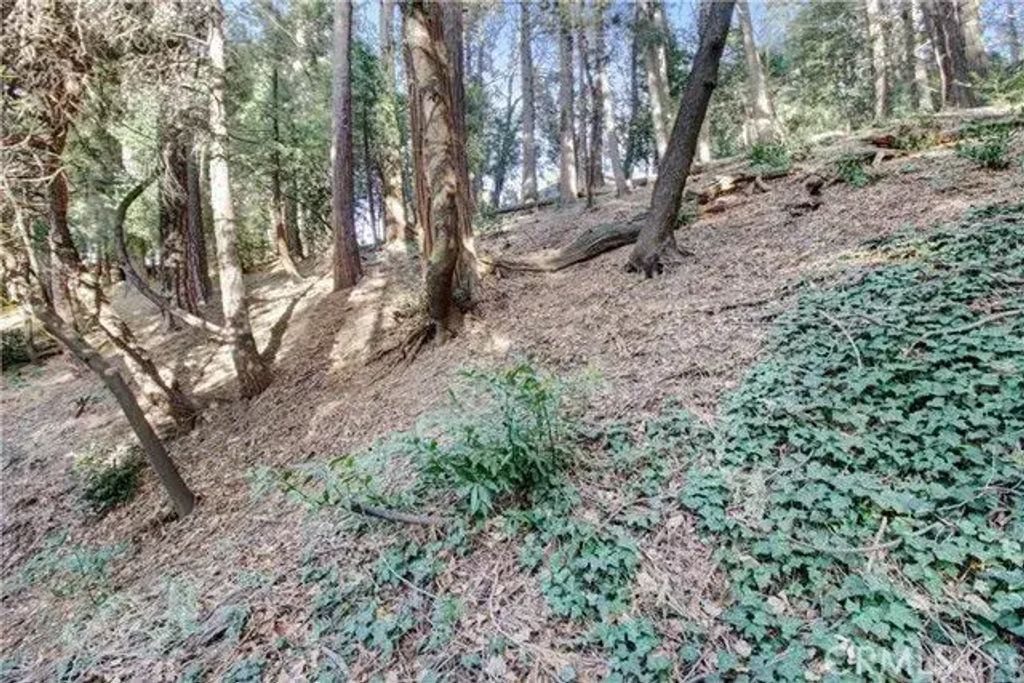 2661 Scenic, Crestline