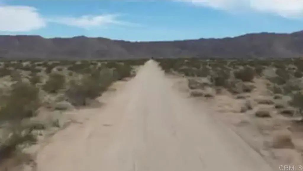 Firethorn, Johnson Valley