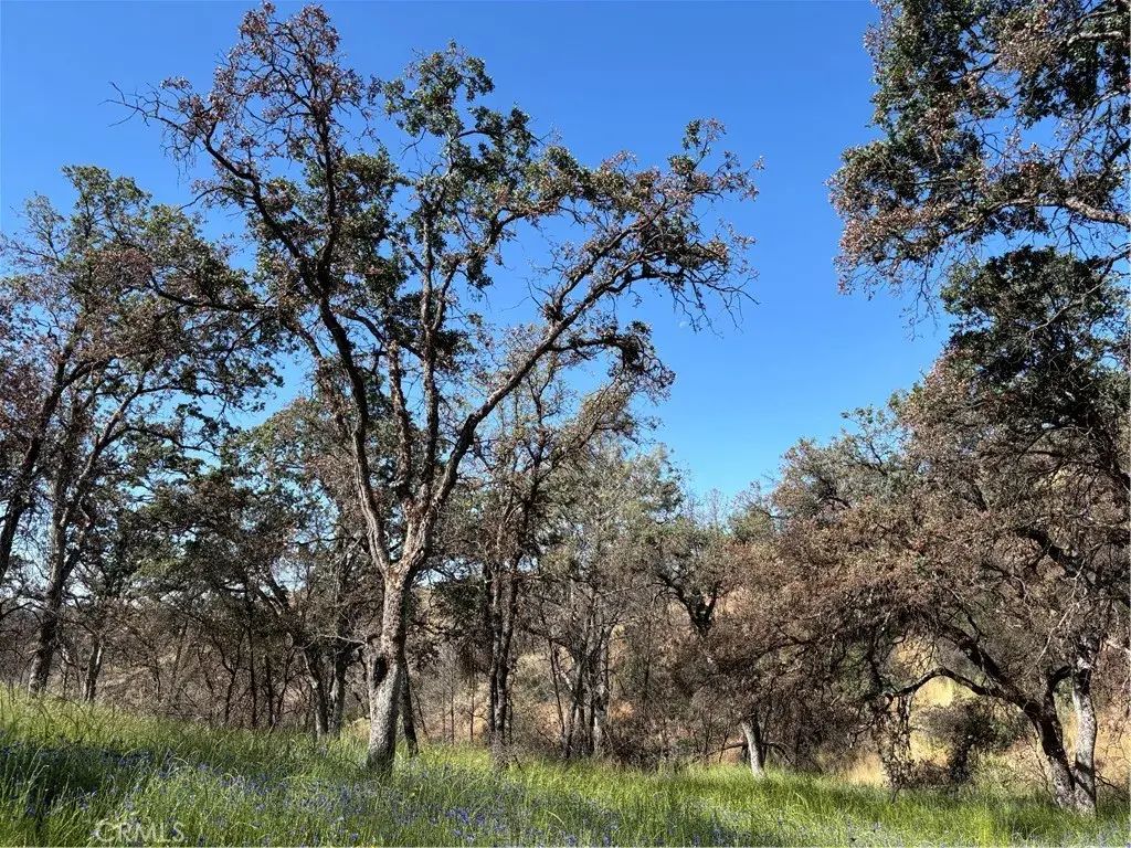5358 Mariposa Heights, Mariposa