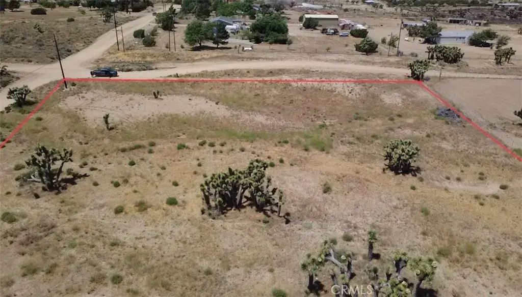 Smith, Phelan