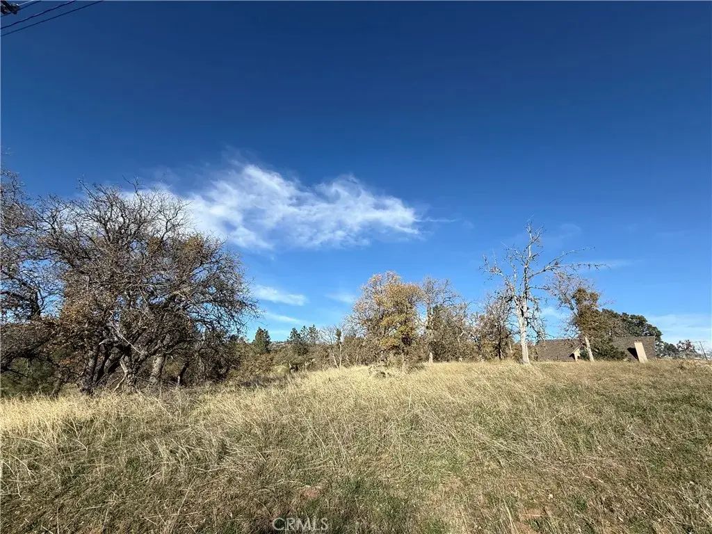 Peregrine, Tehachapi