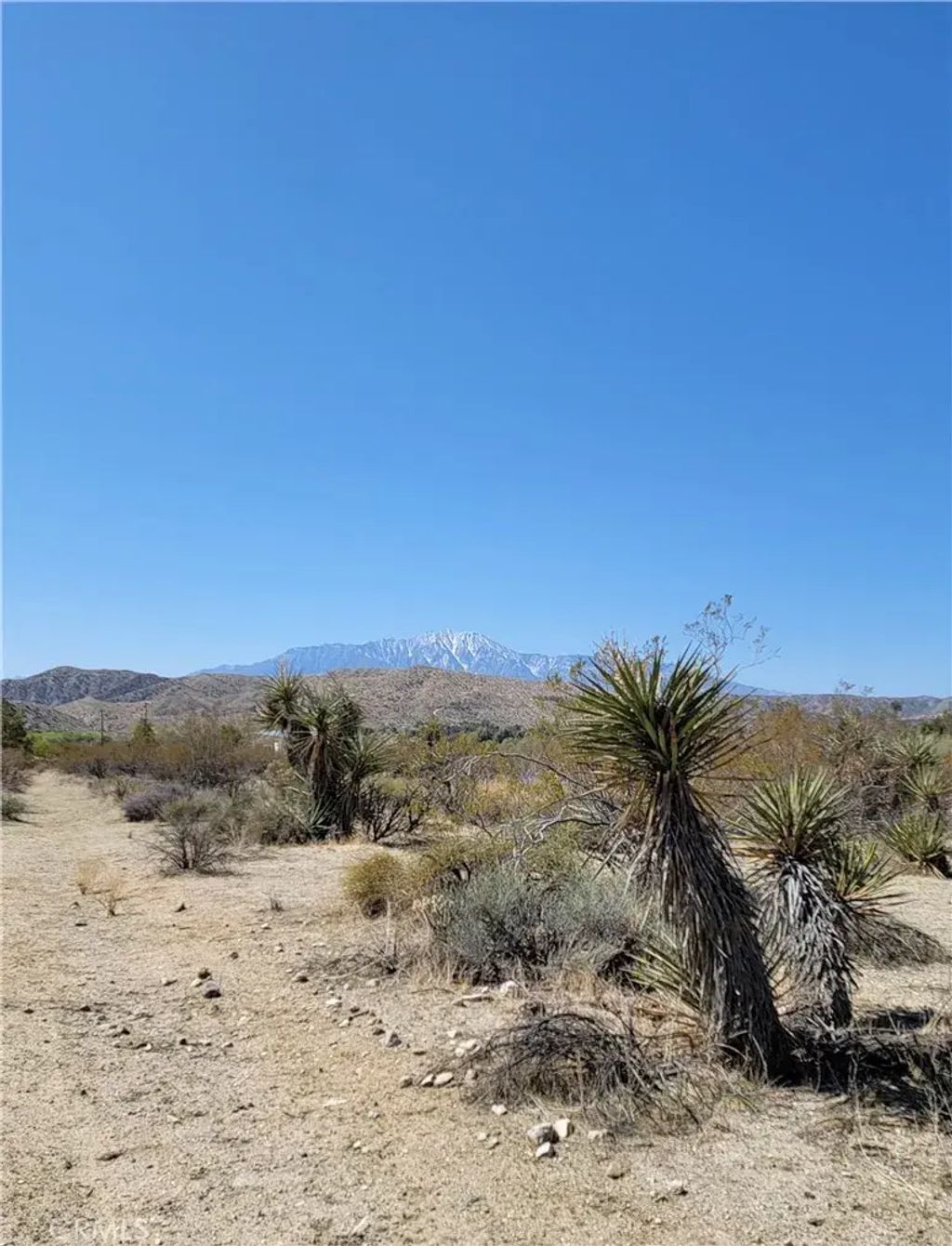 Palo Verde, Morongo Valley