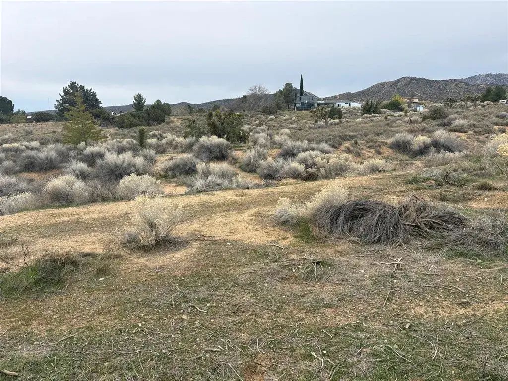 Gobi Rd, Phelan