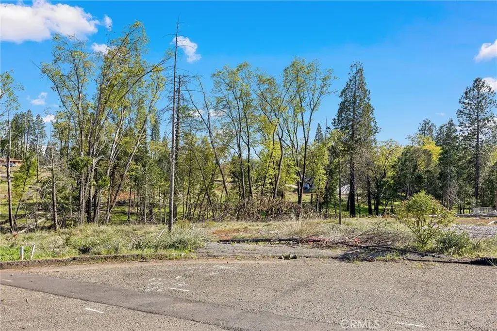 13609 Pawn, Magalia
