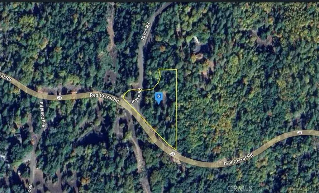 14730 Joyce, Pioneer