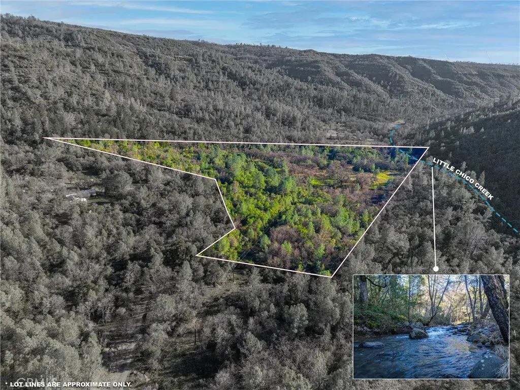 Crown Point, Forest Ranch