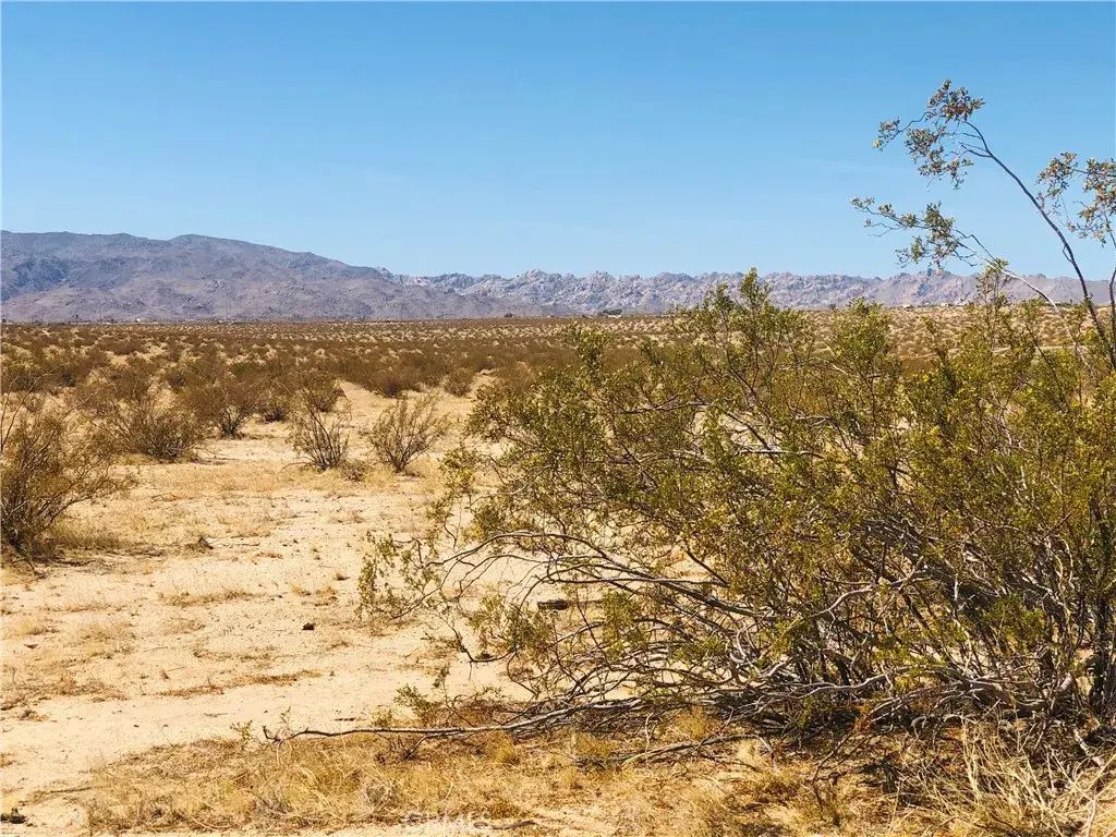 El Sando, 29 Palms