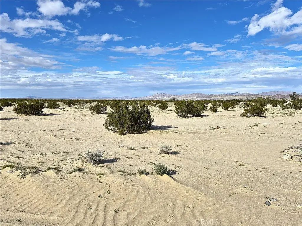 Bulion, 29 Palms