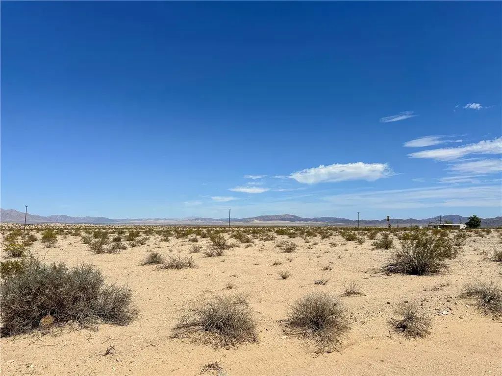 11 Cadiz, 29 Palms