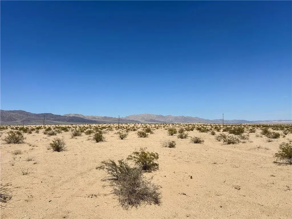 12 Cadiz, 29 Palms