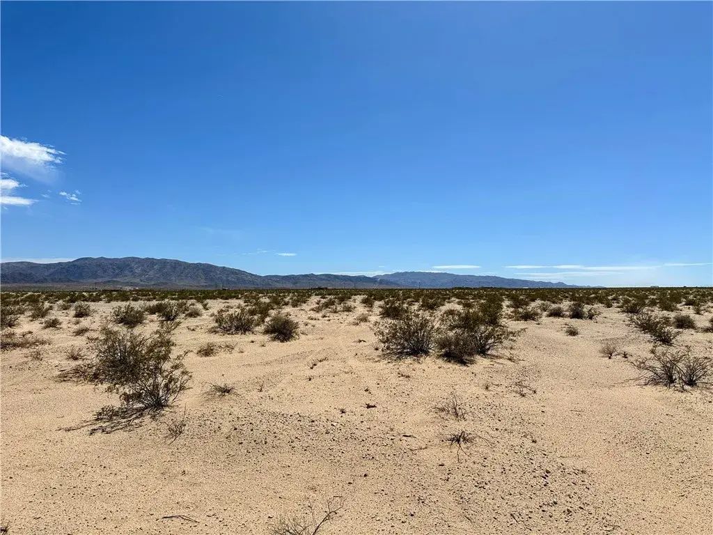 7 Cadiz, 29 Palms