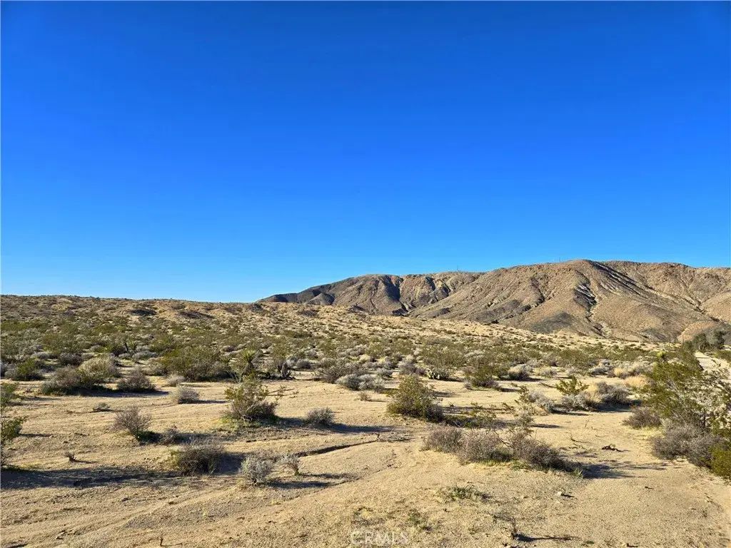 6200 Lee, Joshua Tree