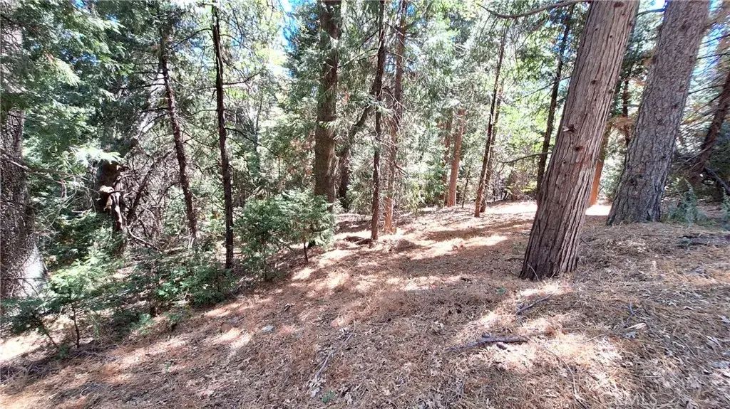 Cedar Pines, Cedarpines Park