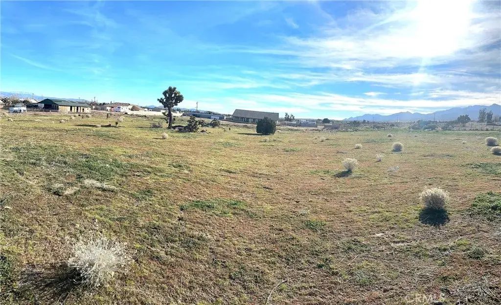 8785 Bonanza, Phelan