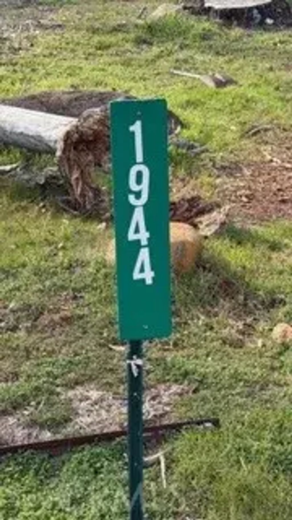 1944 York Towne, Paradise