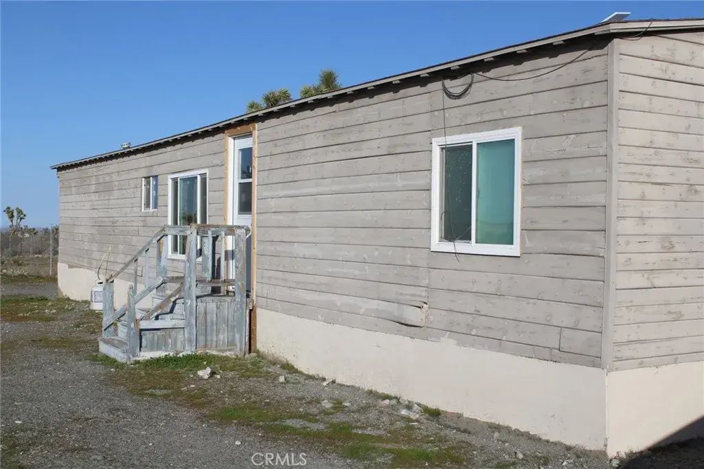 12543 Buckwheat, Phelan
