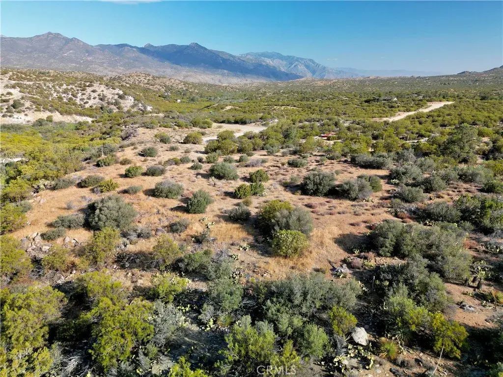 75230 Palm Canyon, Pinyon Pines