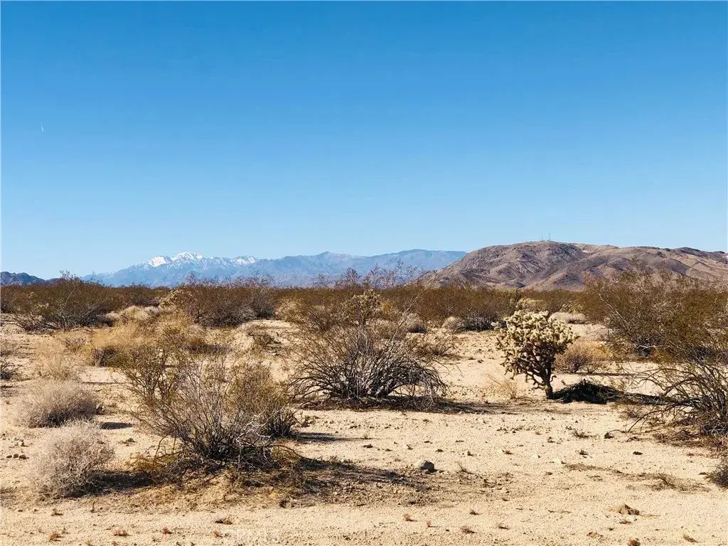 5 Appian, 29 Palms