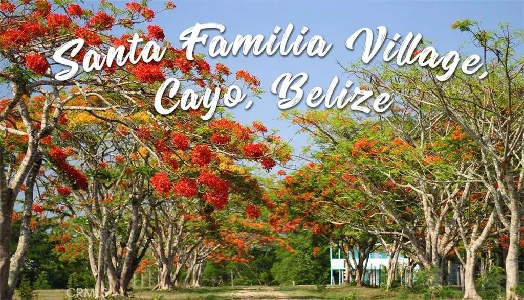 Santa Familia Belize, Outside Area (outside Ca)