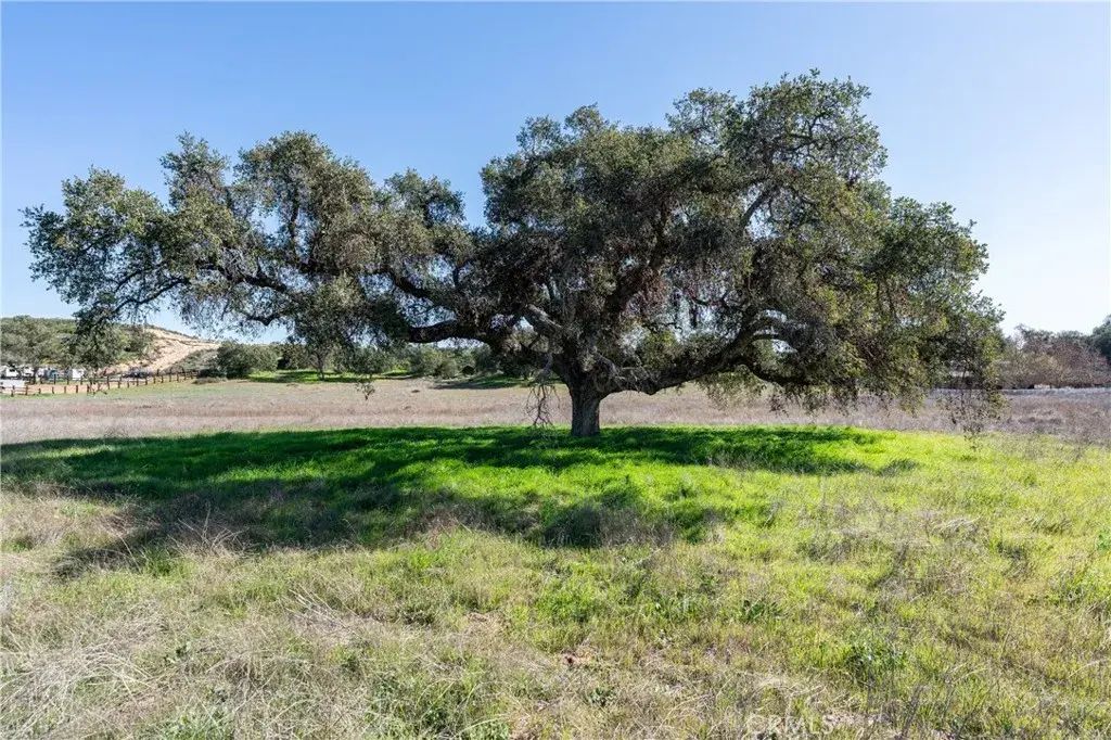 41560 De Anna Ranch, Murrieta