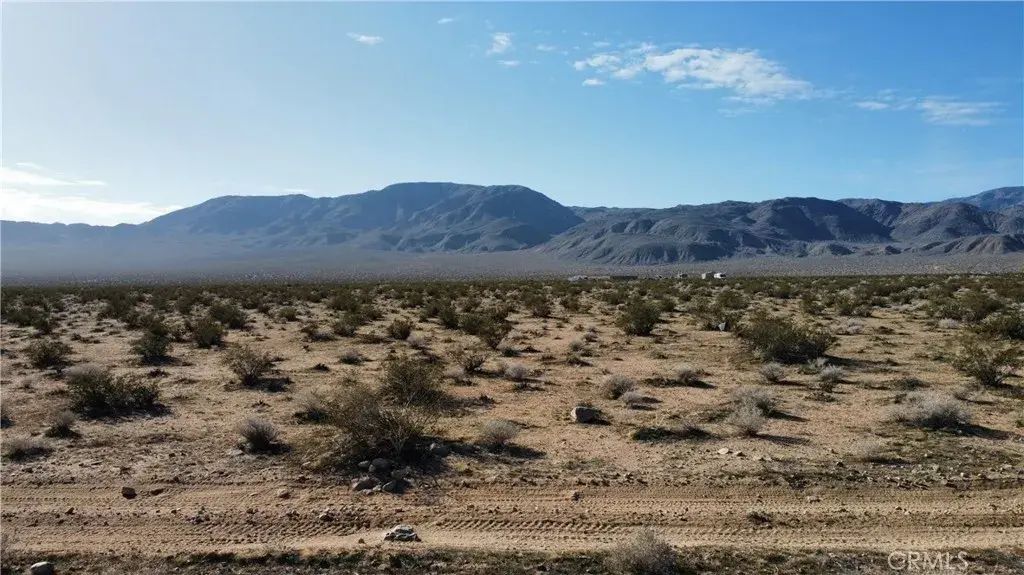 42 Old Woman Springs, Johnson Valley