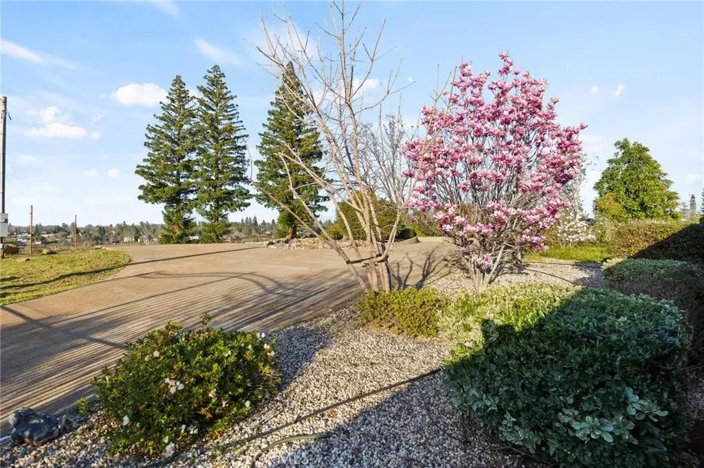 5521 Pine Haven, Paradise