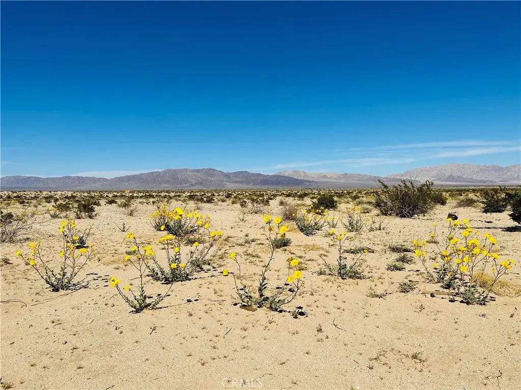 Near Shelton, 29 Palms
