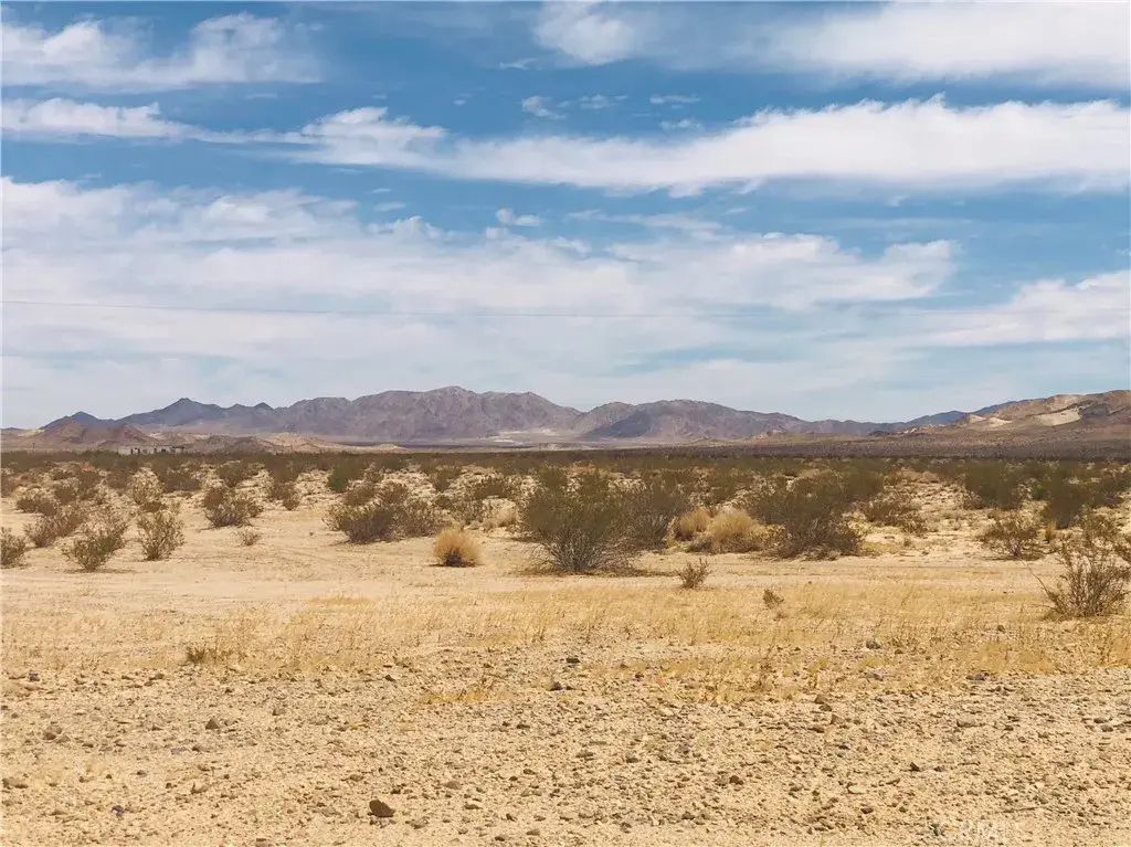 Kathyrn, 29 Palms