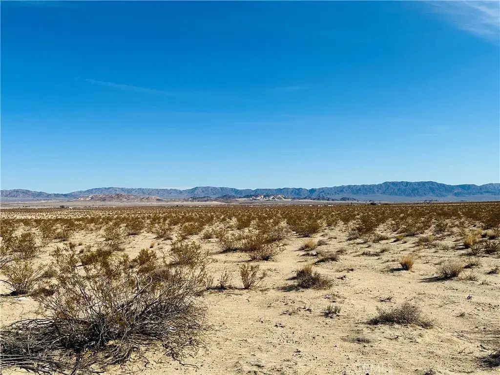 2 Joshua, 29 Palms