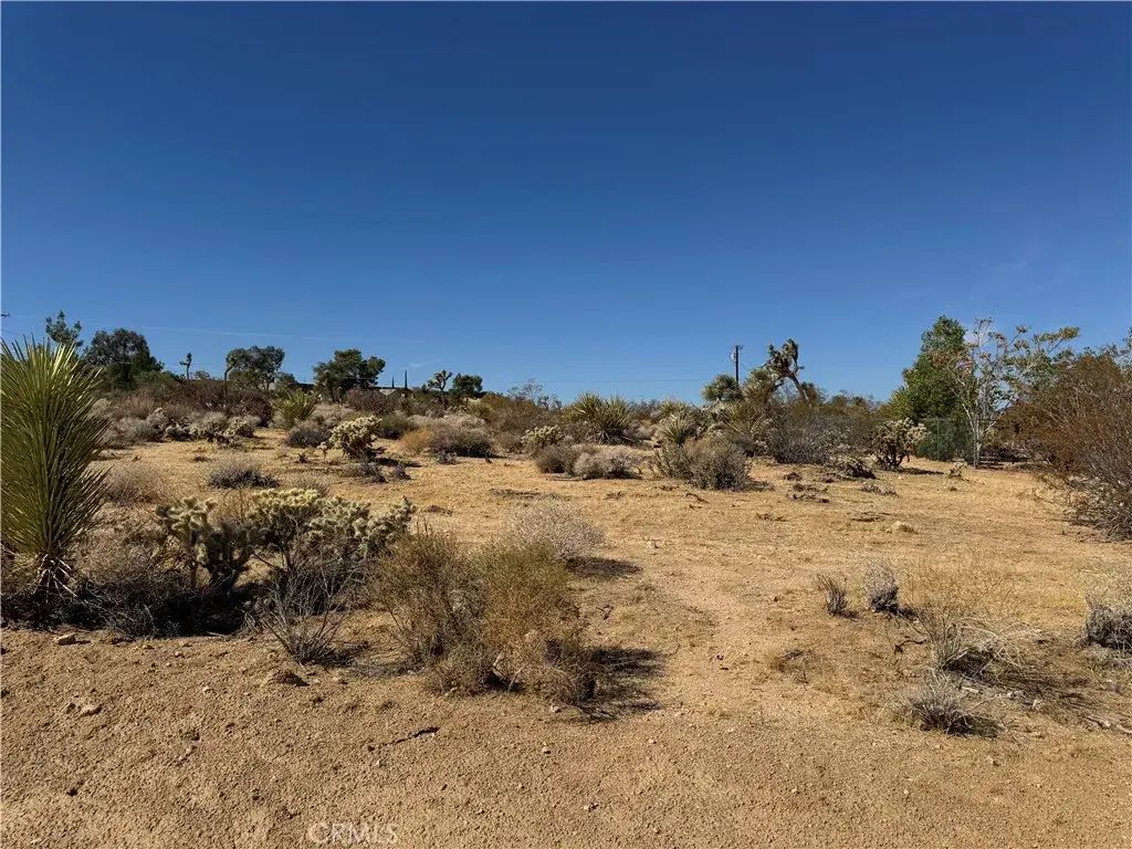 7218 Juniper, Joshua Tree