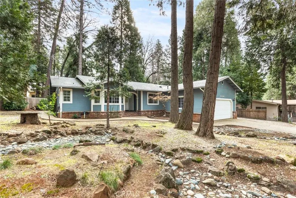 14366 Carnegie, Magalia