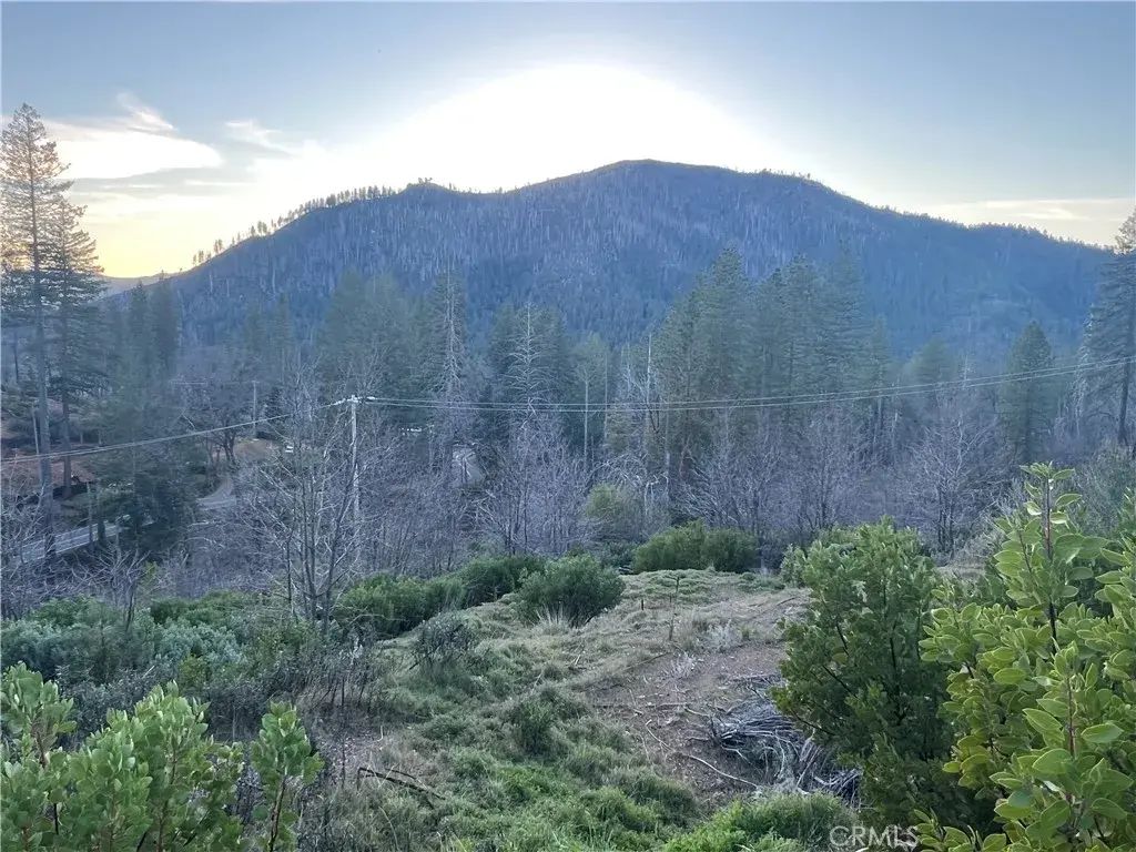 16709 Starview Loop, Cobb
