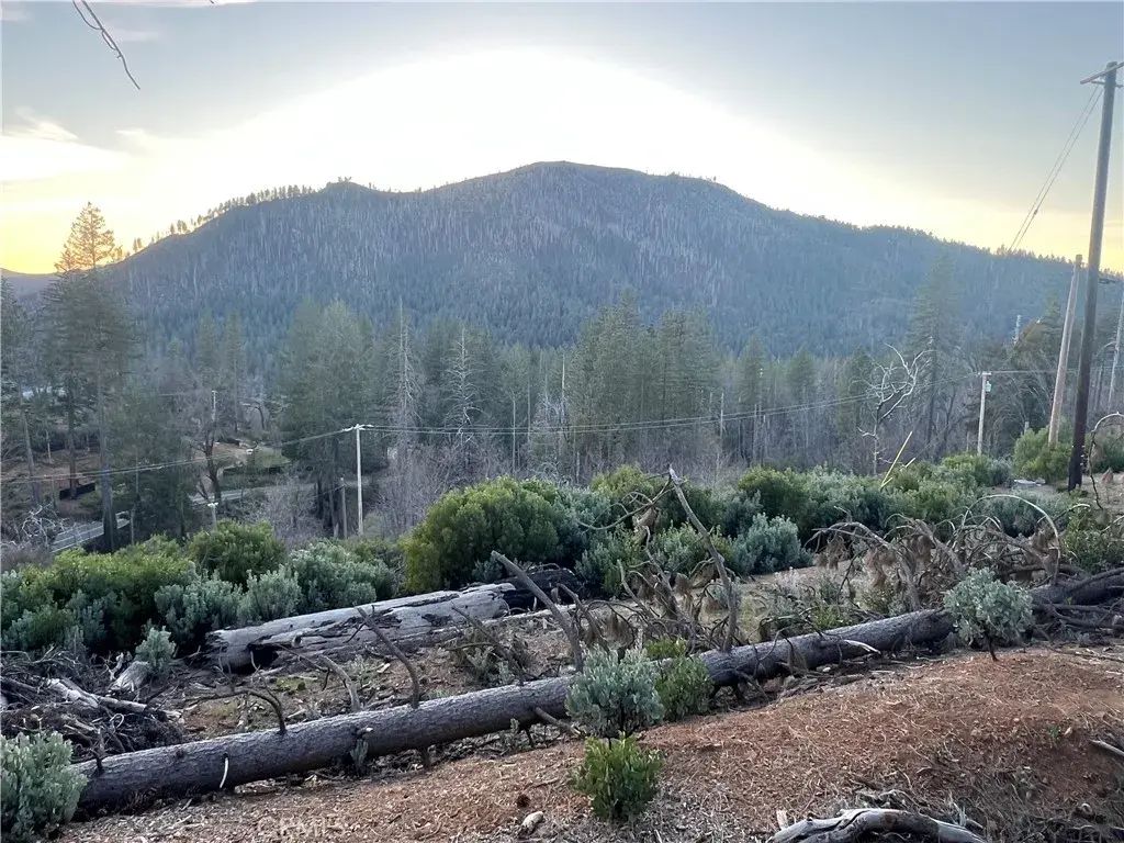 16710 Starview Loop Rd, Cobb