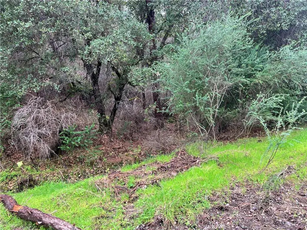 12215 Mountain View, Clearlake Oaks