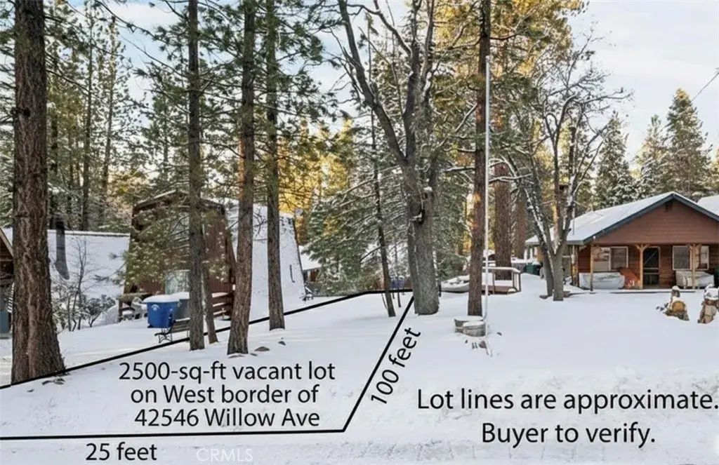 Willow, Big Bear Lake