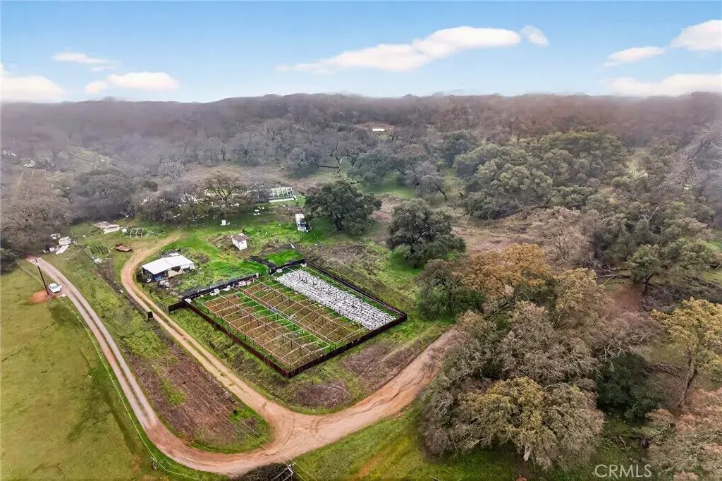 52 Wondering, Oroville