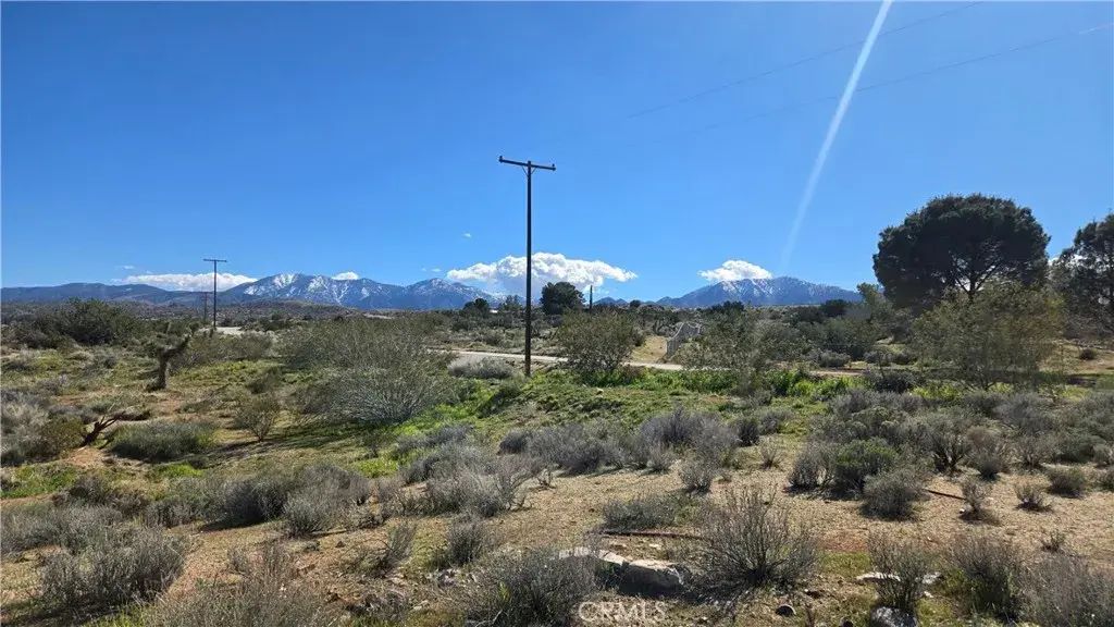 Valyermo Road, Pearblossom