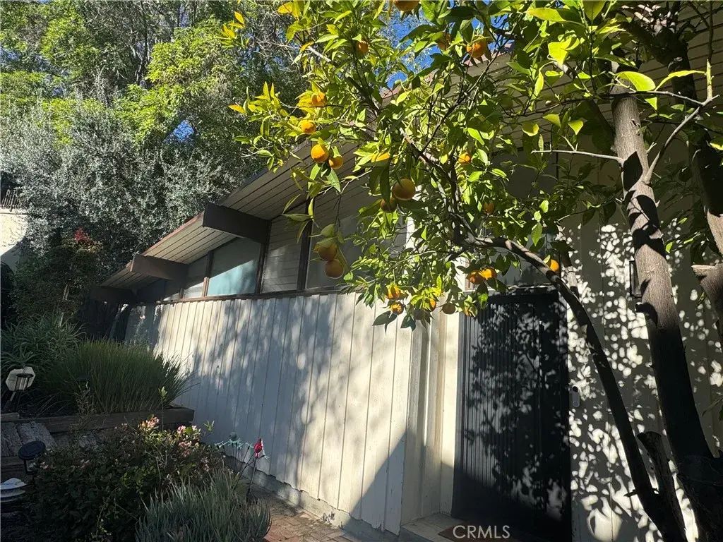 11551 Decente, Studio City