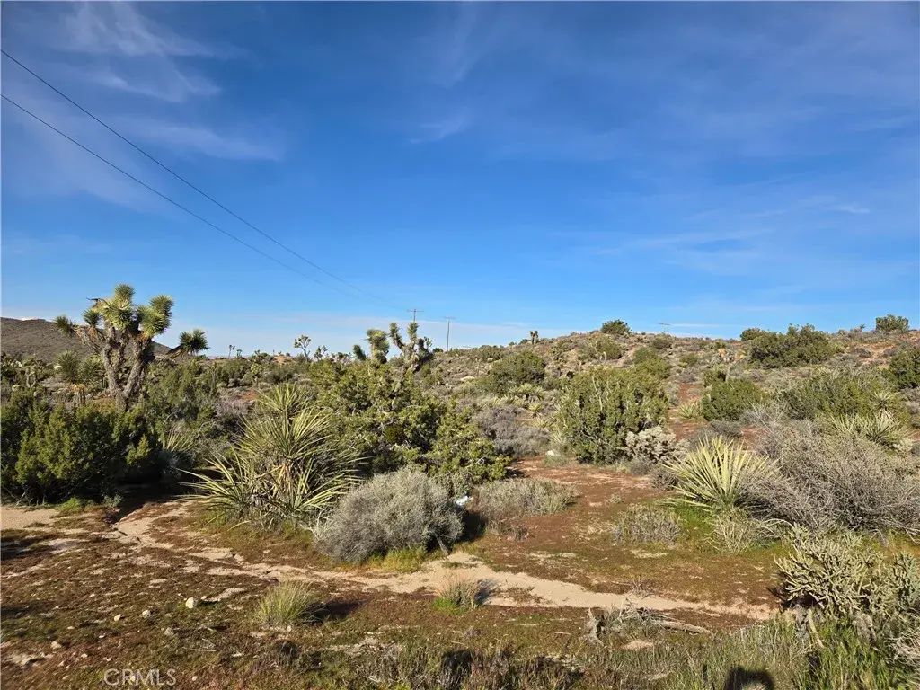 1234 Lemoore, Yucca Valley