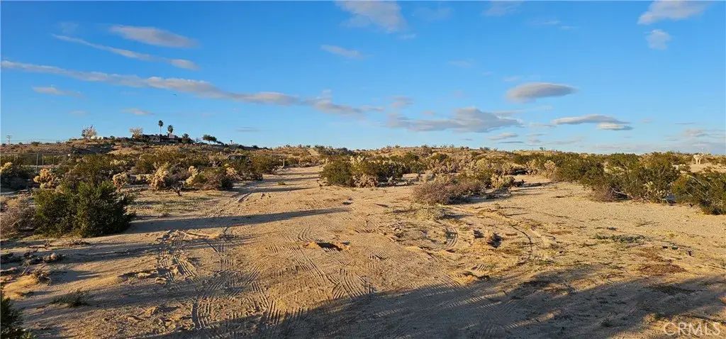 Nicolson, 29 Palms